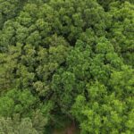 Property photo for land for sale in Latimer County Oklahoma