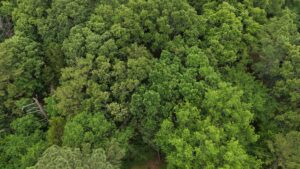 Property photo for land for sale in Latimer County Oklahoma