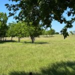 Property photo for land for sale in Denton County Texas