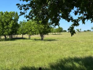 Property photo for land for sale in Denton County Texas