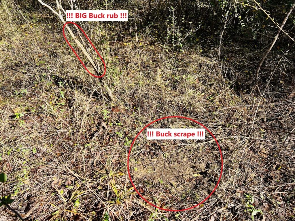 4828b9e6-0987-40c6-bf22-082536de89ac.jpg