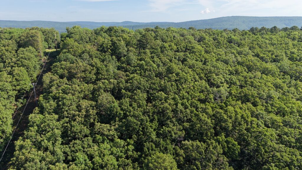 Property photo for land for sale in Latimer County Oklahoma