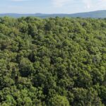 Property photo for land for sale in Latimer County Oklahoma