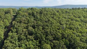 Property photo for land for sale in Latimer County Oklahoma
