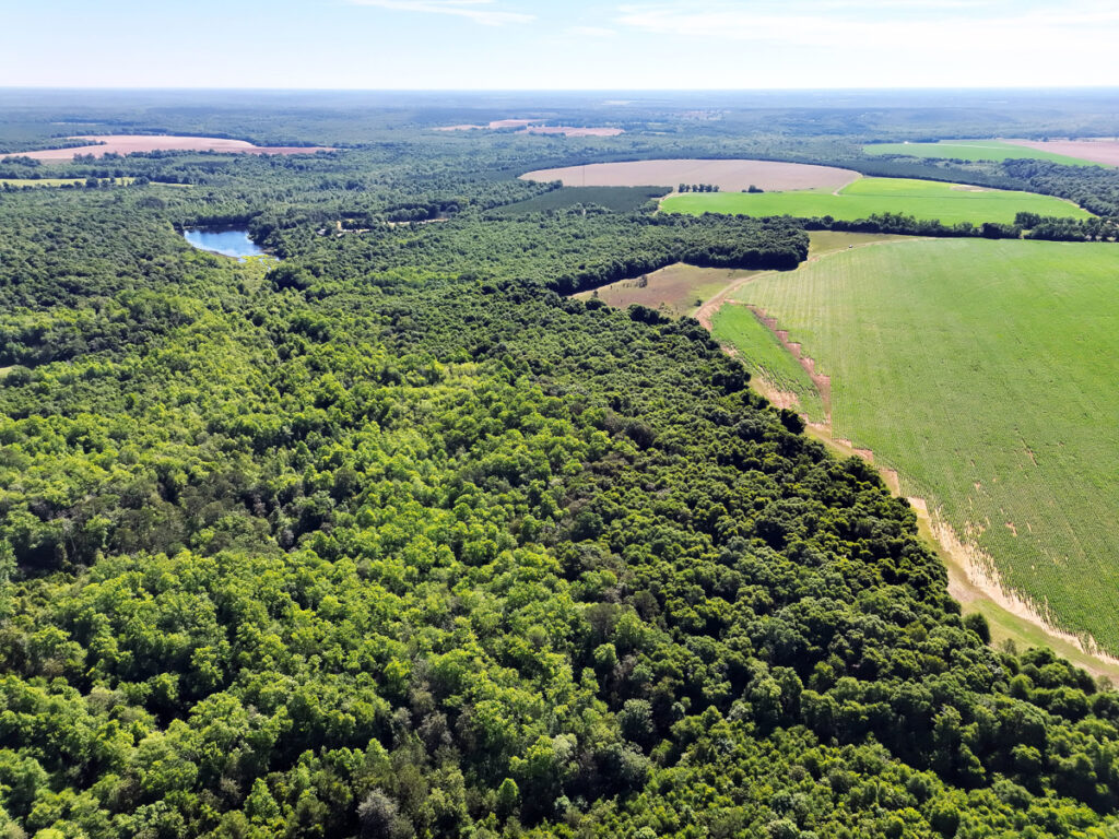 Property photo for land for sale in Randolph County Georgia