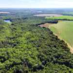 Property photo for land for sale in Randolph County Georgia