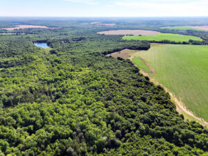 Property photo for land for sale in Randolph County Georgia