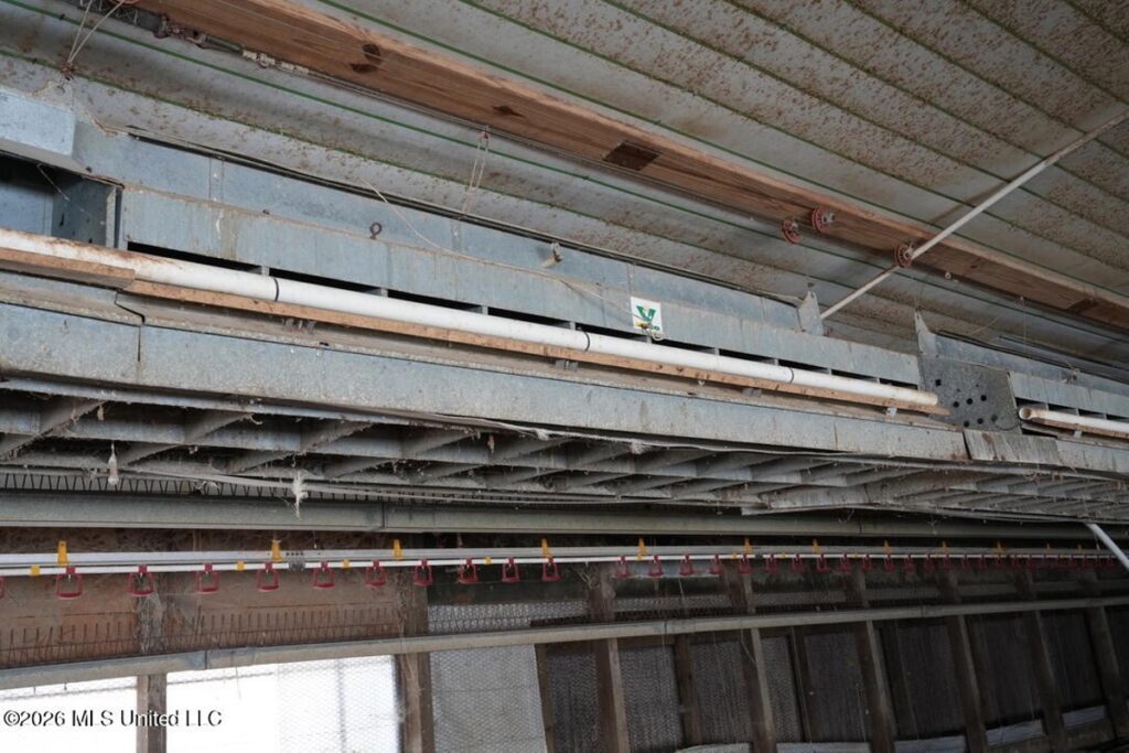 4b4b8351-cebe-4d59-82e8-92e423e29e62.jpg