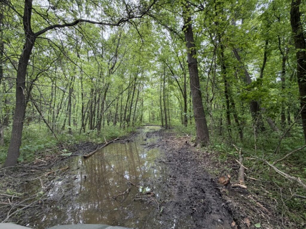 Property photo for land for sale in Daviess County Missouri