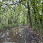 Property photo for land for sale in Daviess County Missouri