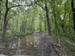 Property photo for land for sale in Daviess County Missouri
