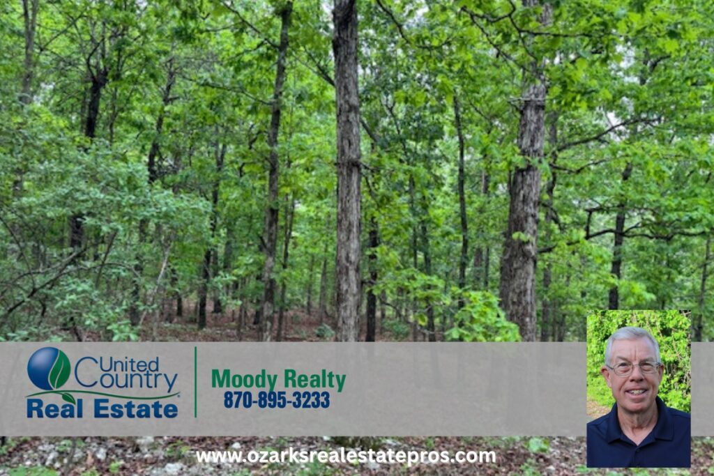 Property photo for land for sale in Fulton County Arkansas