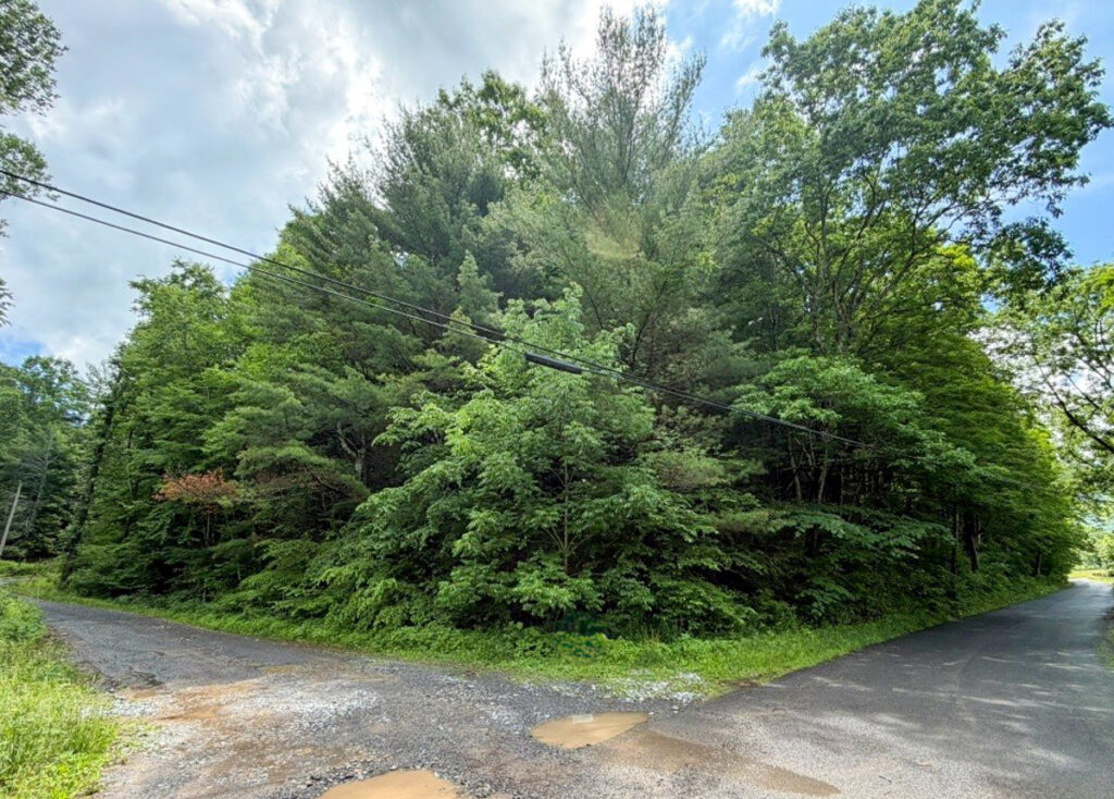 Property photo for land for sale in Washington County Virginia