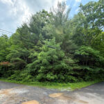 Property photo for land for sale in Washington County Virginia