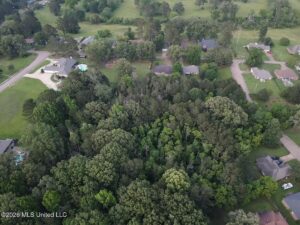 Property photo for land for sale in Hinds County Mississippi