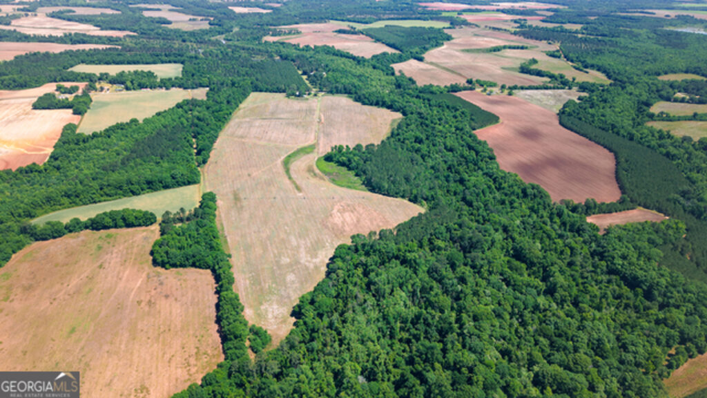 Property photo for land for sale in Clay County Georgia