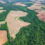 Property photo for land for sale in Clay County Georgia