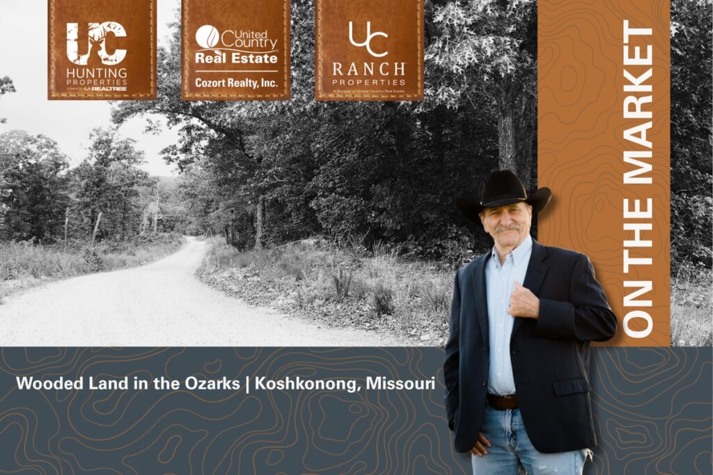 Property photo for land for sale in Oregon County Missouri