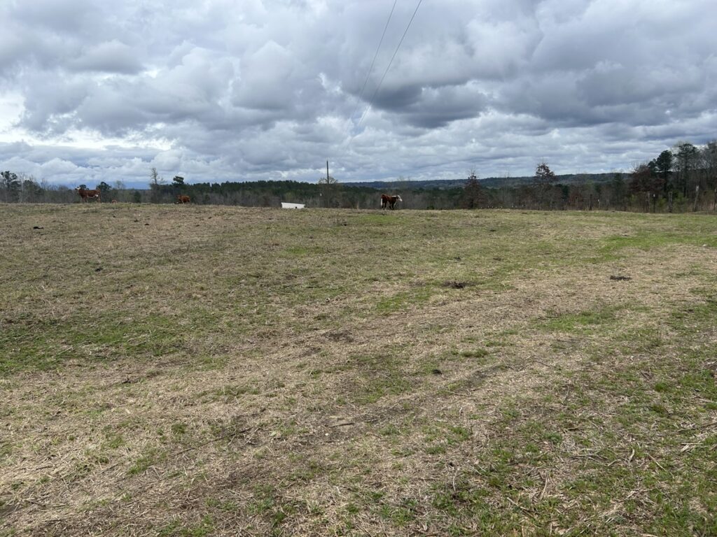 Property photo for land for sale in Chilton County Alabama