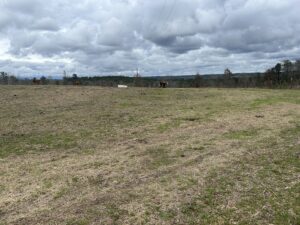 Property photo for land for sale in Chilton County Alabama