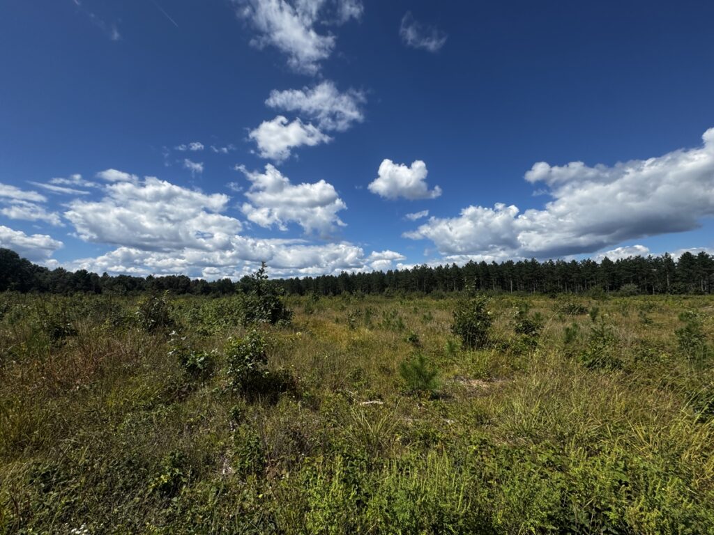 5245e25b-0248-408e-922f-51e708957e10.jpg