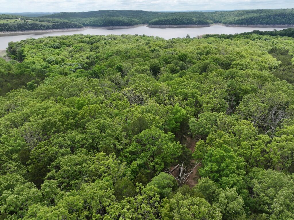 Property photo for land for sale in Boone County Missouri