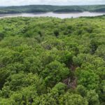 Property photo for land for sale in Boone County Missouri