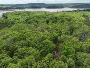 Property photo for land for sale in Boone County Missouri