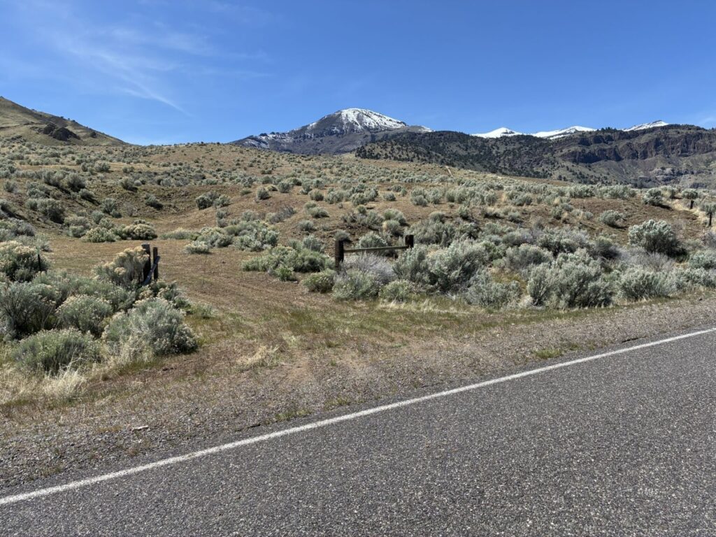 532d4559-b47c-49e2-8504-887e83fd81ac.jpg