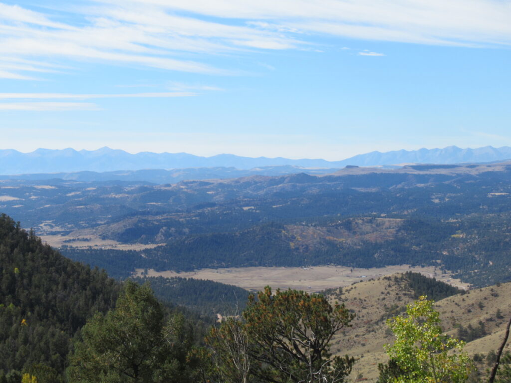 5350c440-e713-4b96-98fe-45306dceca53.jpg