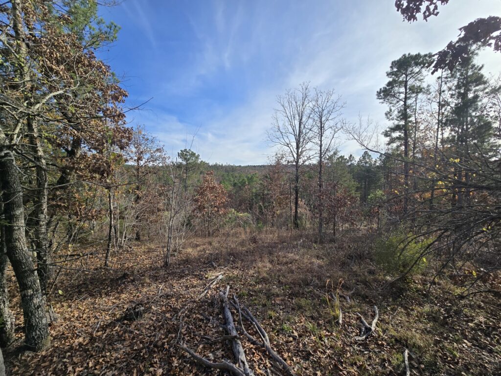 Property photo for land for sale in Le Flore County Oklahoma