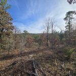 Property photo for land for sale in Le Flore County Oklahoma