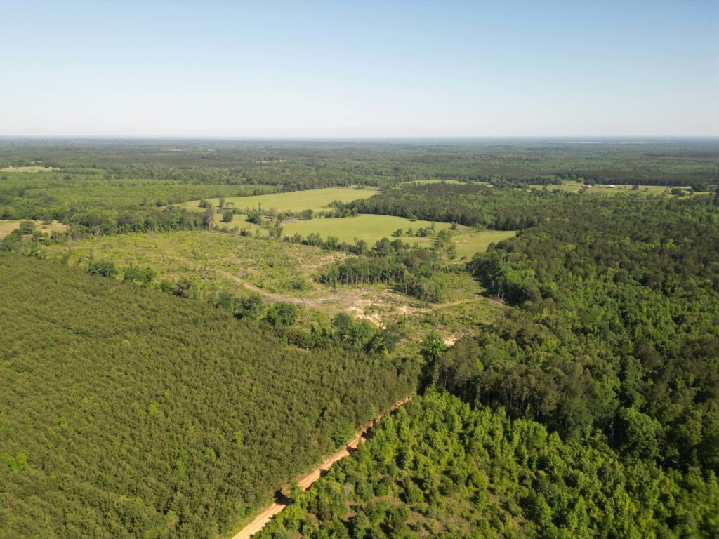 Property photo for land for sale in Cass County Texas