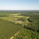 Property photo for land for sale in Cass County Texas