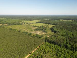 Property photo for land for sale in Cass County Texas