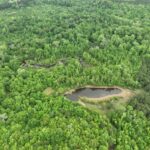 Property photo for land for sale in Cass County Texas