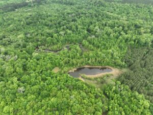Property photo for land for sale in Cass County Texas
