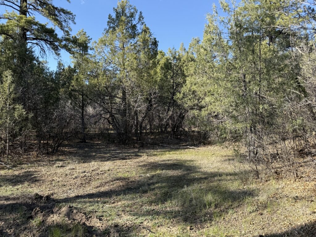 Property photo for land for sale in Rio Arriba County New Mexico