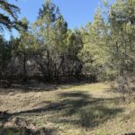 Property photo for land for sale in Rio Arriba County New Mexico