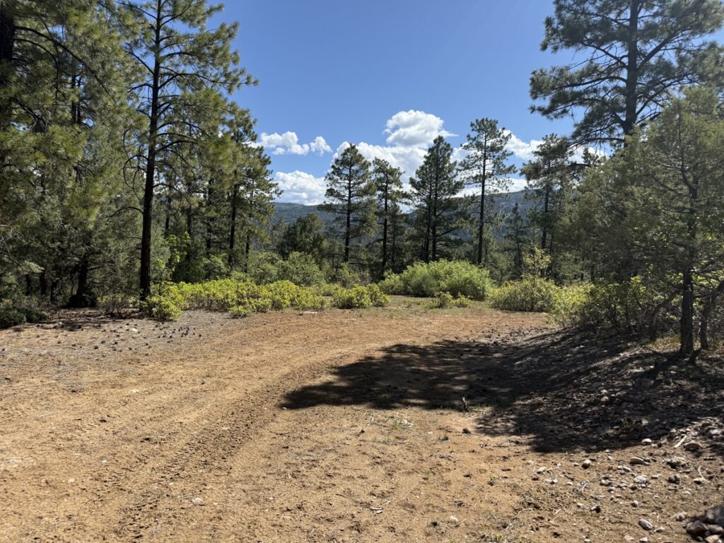 Property photo for land for sale in Rio Arriba County New Mexico