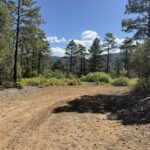 Property photo for land for sale in Rio Arriba County New Mexico