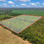 Property photo for land for sale in Dixie County Florida