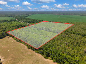 Property photo for land for sale in Dixie County Florida