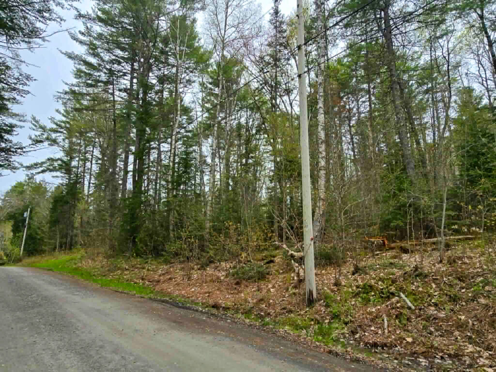 Property photo for land for sale in Knox County Maine