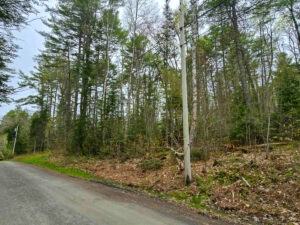 Property photo for land for sale in Knox County Maine
