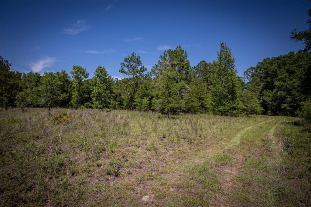 596fae37-f300-4f23-835e-2a092c90bc69.jpg