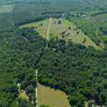 Property photo for land for sale in Wilcox County Alabama