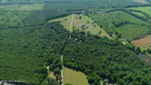 Property photo for land for sale in Wilcox County Alabama