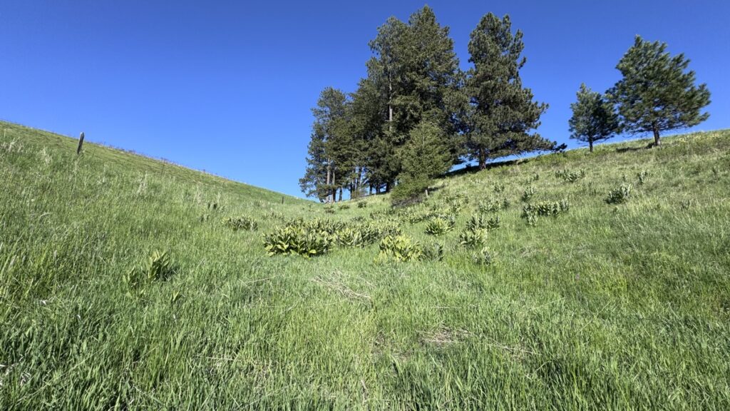 5c033f56-8203-49ef-8618-ba57096edfd1.jpg