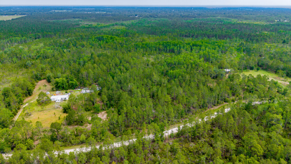 Property photo for land for sale in Lafayette County Florida